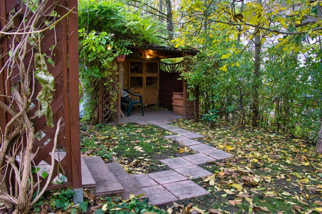 Mycozyplace - Zwei Gemuetliche Zimmer Fuer Vier Dresden Ngoại thất bức ảnh
