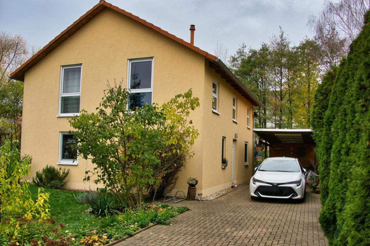 Mycozyplace - Zwei Gemuetliche Zimmer Fuer Vier Dresden Ngoại thất bức ảnh