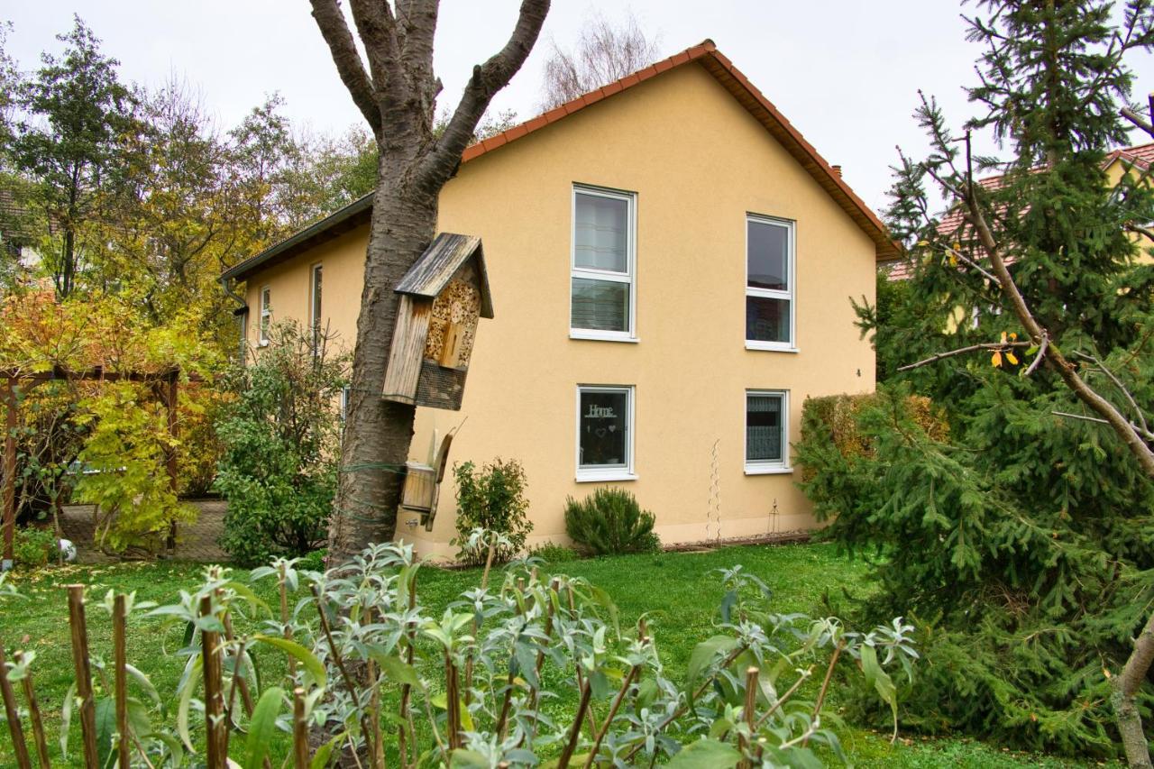 Mycozyplace - Zwei Gemuetliche Zimmer Fuer Vier Dresden Ngoại thất bức ảnh